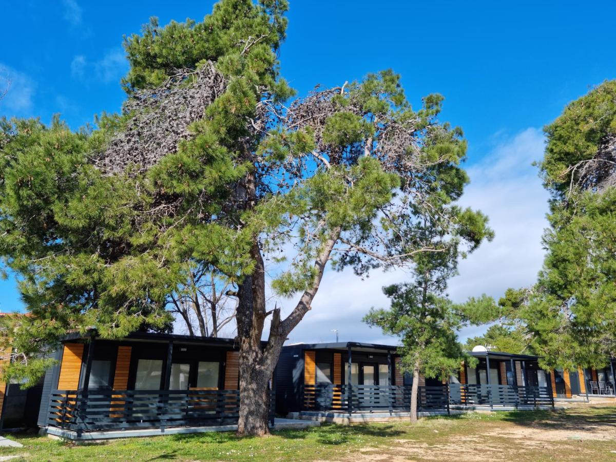 K9 Mobile Home Camp Dalmacija Privlaka プリヴラカ エクステリア 写真