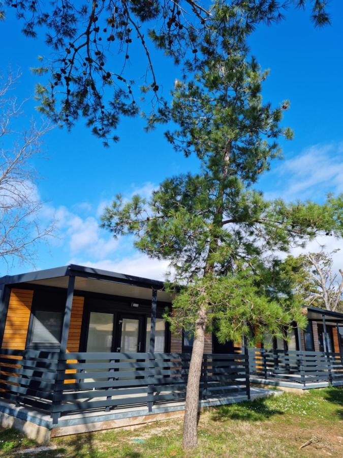 K9 Mobile Home Camp Dalmacija Privlaka プリヴラカ エクステリア 写真